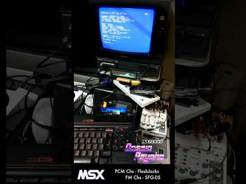 Cosmic Psycho(Cocktail Soft) - X68000 (YM2151 & OKIM6258) Main Theme - Begin. Play on MSX