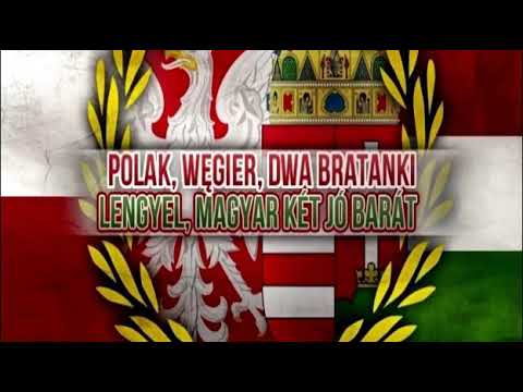 BRAT Projekt x Klasszik Kru - Dość/Eleg