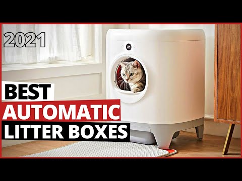 Best Self Cleaning Litter Box in 2022 | Best Automatic Self Cleaning Litter Box in 2022