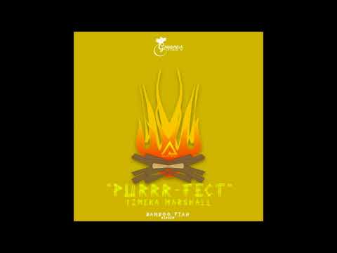 TIMEKA MARSHALL-PURRRFECT (GUYANA CARNIVAL 2018)