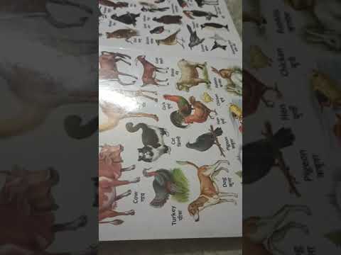 vedanshi learning animals name