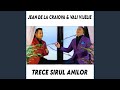 Trece Sirul Anilor (feat. Vali Vijelie)