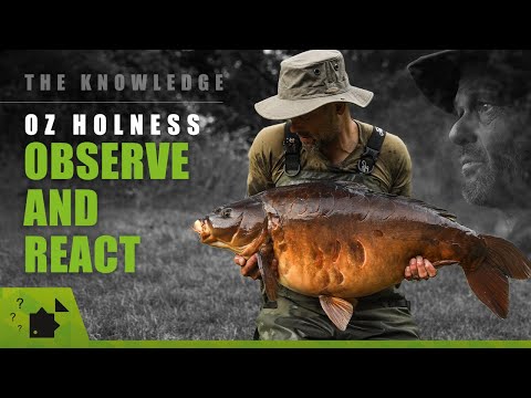Observe & React | Oz Holness | Carp Fishing Watercraft