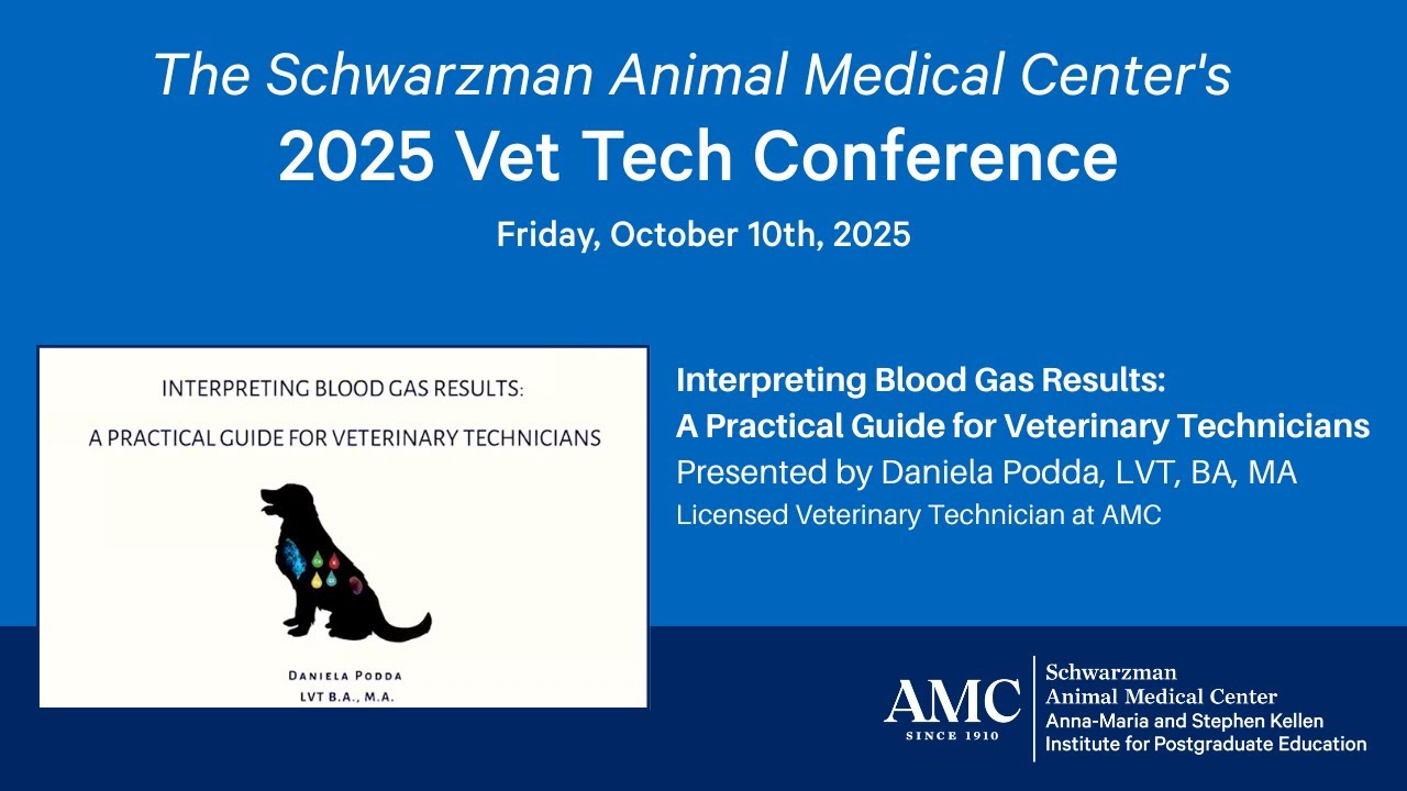 Interpreting Blood Gas Results: A Practical Guide for Veterinary Technicians