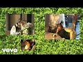 Trippie Redd - All For Me (Visualizer) ft. Smokepurpp Trippie Redd - All For Me (Visualizer) ft. Smokepurpp