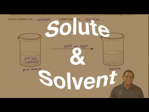 The Difference Between a Solute and Solvent