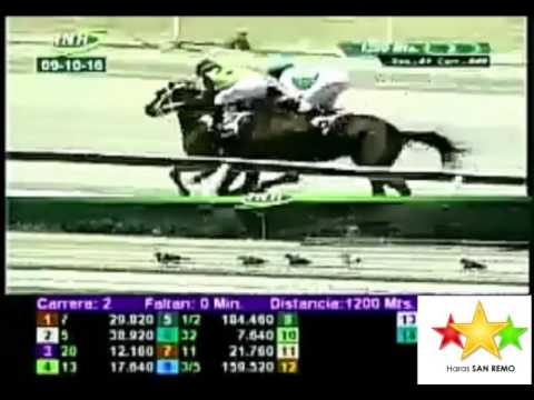 LA RINCONADA 2 CARRERA, DOMINGO 09 DE OCTUBRE DEL 2016