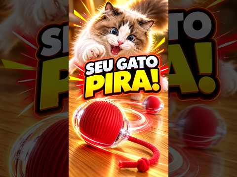 Ainda não vi brinquedo de gato melhor 🐱 ⚽️ #gatos #gatofofo