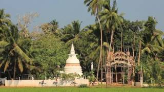 Talalla Yoga Retreat Sri Lanka