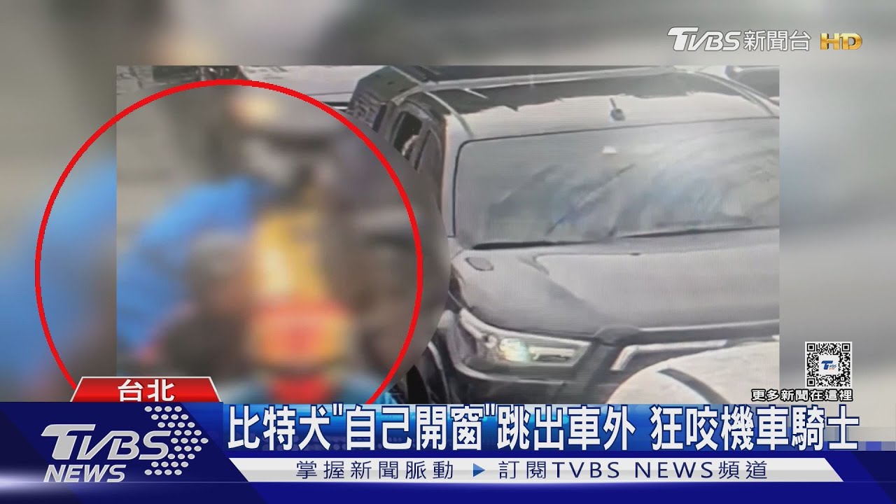 比特犬「自己開窗」跳出車外 狂咬機車騎士