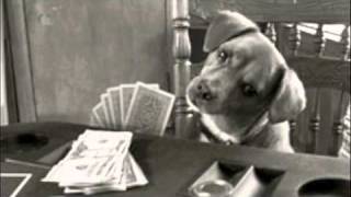 suzanne vega  "no cheap thrill"  video by sherry.