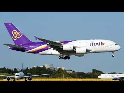 Thai Airways - narodowa linia lotnicza Tajlandii