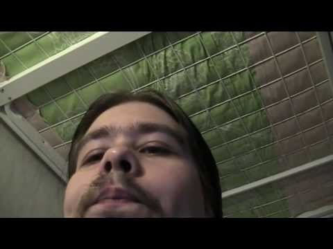 Ei mikään kehuttava päivä