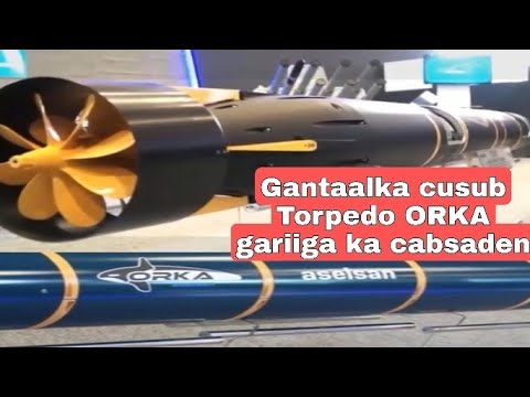 Warshada difaaca Turkiga oo sameyay Gantaalka Torpedo ORKA Badda wax ka dilo marakiibta gujis drone