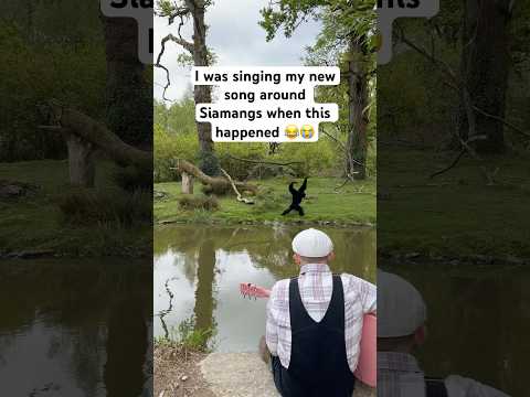 When the fish comes at the end 😭 "Flou - Plumes" is out on all music platforms