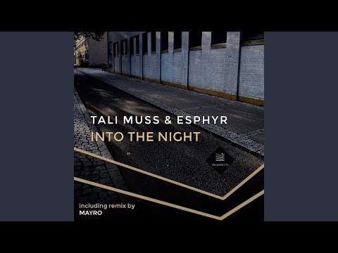 Into the Night (Mayro Remix)