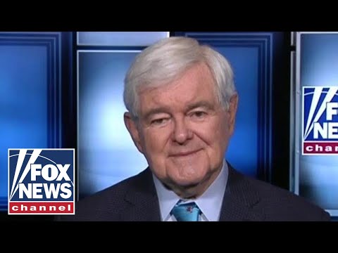 ニュート・ギングリッチペロシの行動は幼稚で、家の下にあった (Newt Gingrich: Pelosi's actions were childish and beneath the house)