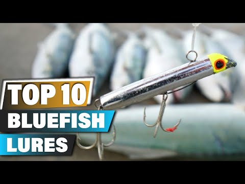 Best Bluefish Lures In 2025 - Top 10 Bluefish Lure Review