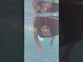 Underwater Underwater Happiness Swimming