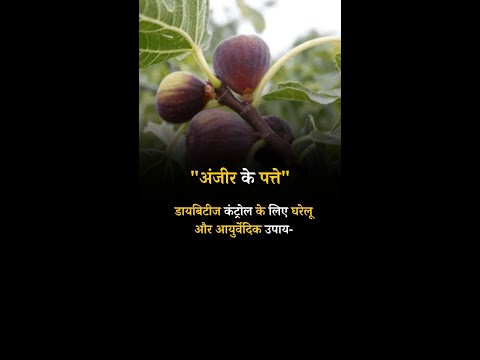 Home and Ayurvedic remedies for Diabetes Control Fig Leaves#diabetes #diabetesdiet #diabetescontrol