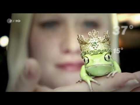 37 Grad - Unschuldig hinter Gittern [ZDF-DOKU]