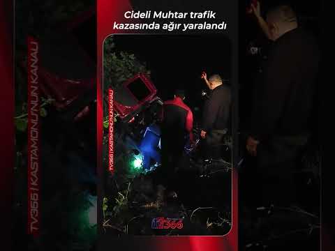 Cideli Muhtar trafik kazasında ağır yaralandı