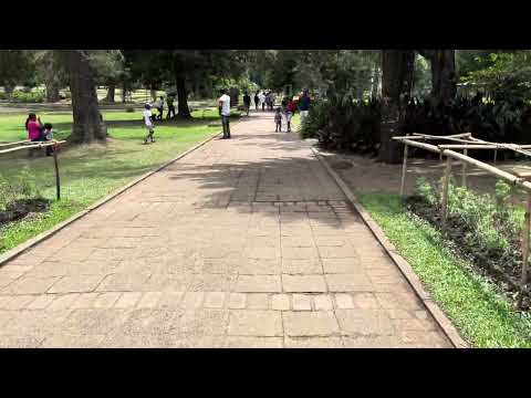 A trip to Nuwara Eliya A trip to Nuwara Eliya 2024 03 02 12 23 IMG 5432