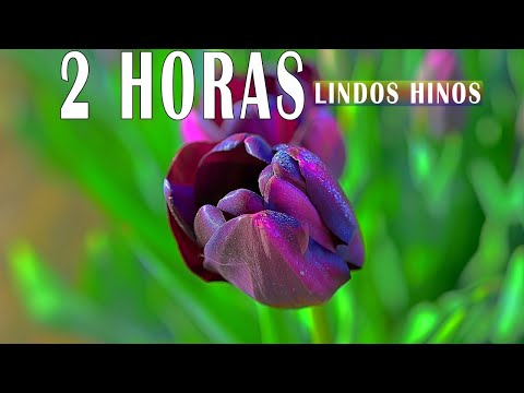 2 HORAS DE LINDOS HINOS CCB   Melhores Hinos CCB Para Ouvir em Comunhão