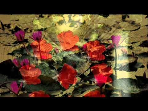 Nụ hôn đầu đời - Xuân Phú