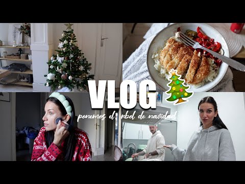 Ponemos el árbol de navidad, cocinamos juntos… 🎄👫