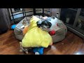 Jeter Trying To Sleep