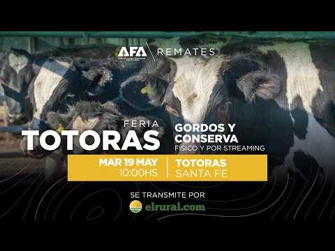 Remate AFA Gordos y Conserva desde Totoras Santa Fe