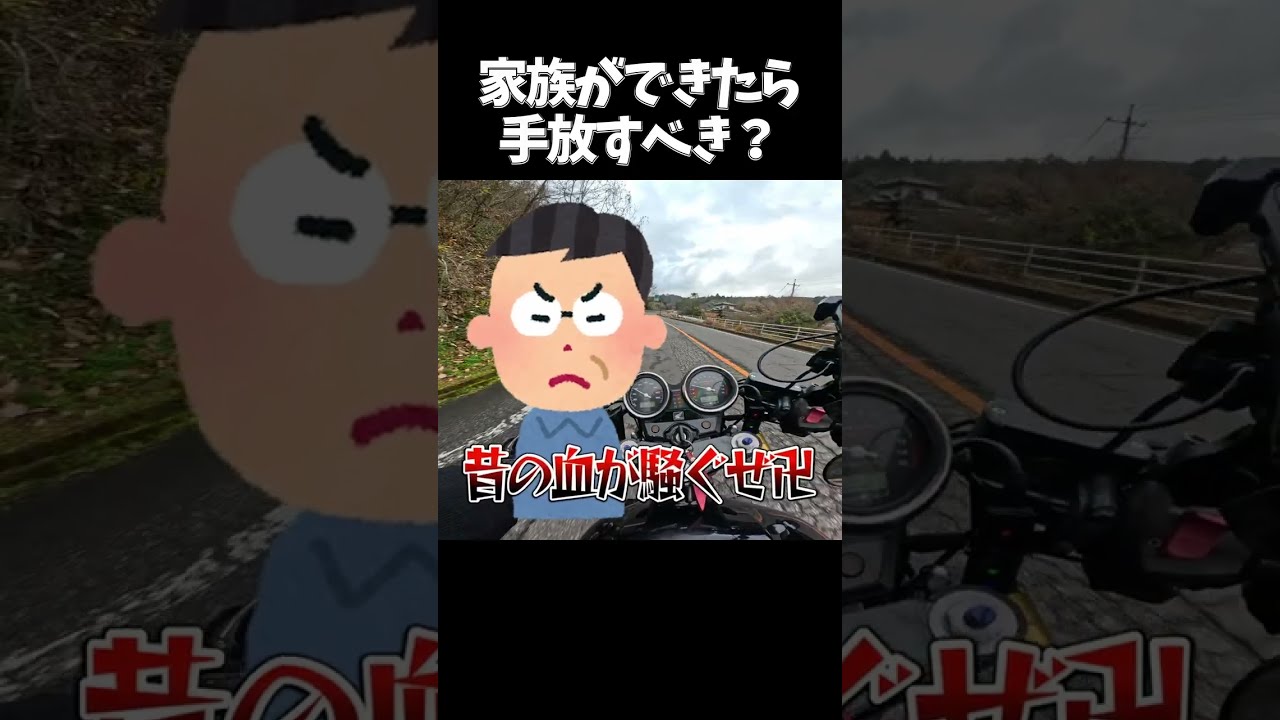 この高速ミニバンに対する推察は間違ってますか？