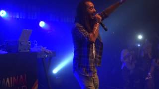 Tairo   Love Love Love   Magic Mirrors