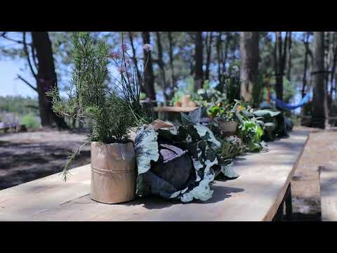 Encuentro en el bosque de Aldea El Pinar. Octubre 2023.