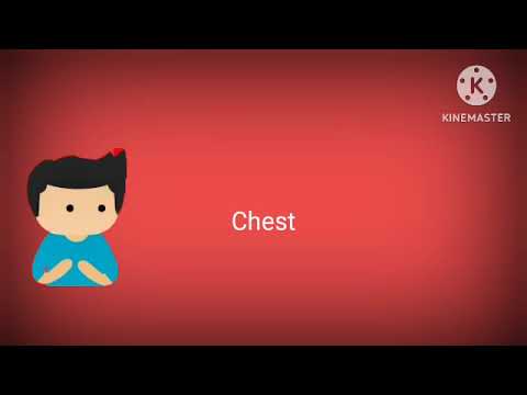 vokabulario  Tetun-inglês "isin lolon nian"