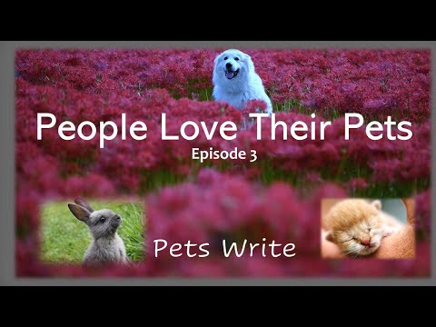 ペット愛好家に共通する 5 つのこと - エピソード 3