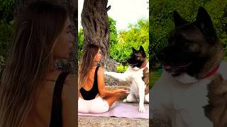 Every Time I Try to Workout… My Dog Shows Up 🐶🔥 #funnydogs #dogvideos #funnyshorts #fitnessfails