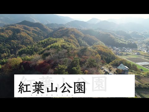 紅葉山公園（群馬県甘楽町）