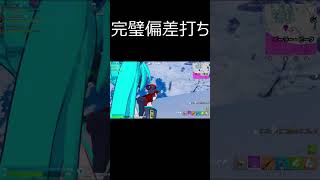 【切り抜き】完璧偏差打ち【フォートナイト】