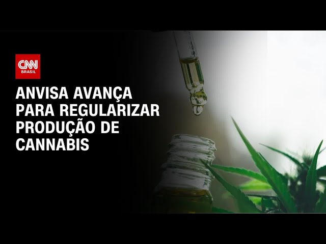 Anvisa avança em proposta para regularizar produção de cannabis medicinal | LIVE CNN