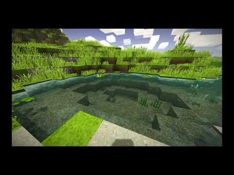 V1.20 Water striders and mating gnats