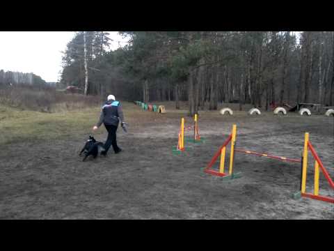 DEJA slalom 21.12.2014.