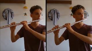 Heart Shaped Box (from "Westworld")- Flute Cover