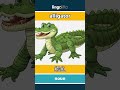alligator - 鳄鱼 video thumbnail