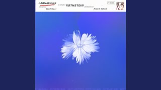 Carnations