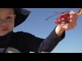 40 Years Of The Westpac Lifesaver Rescue Helicopter Service Queensland