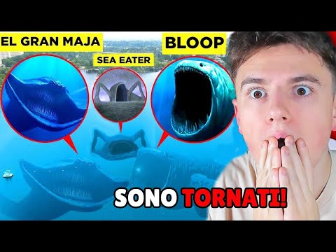 Mate Horror and Mate