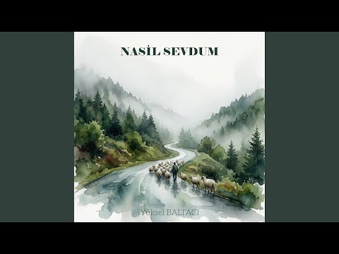 NASİL SEVDUM