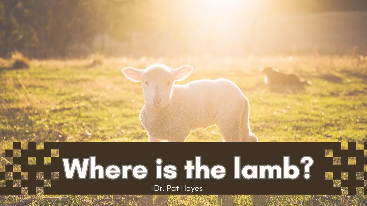 Where is the Lamb?